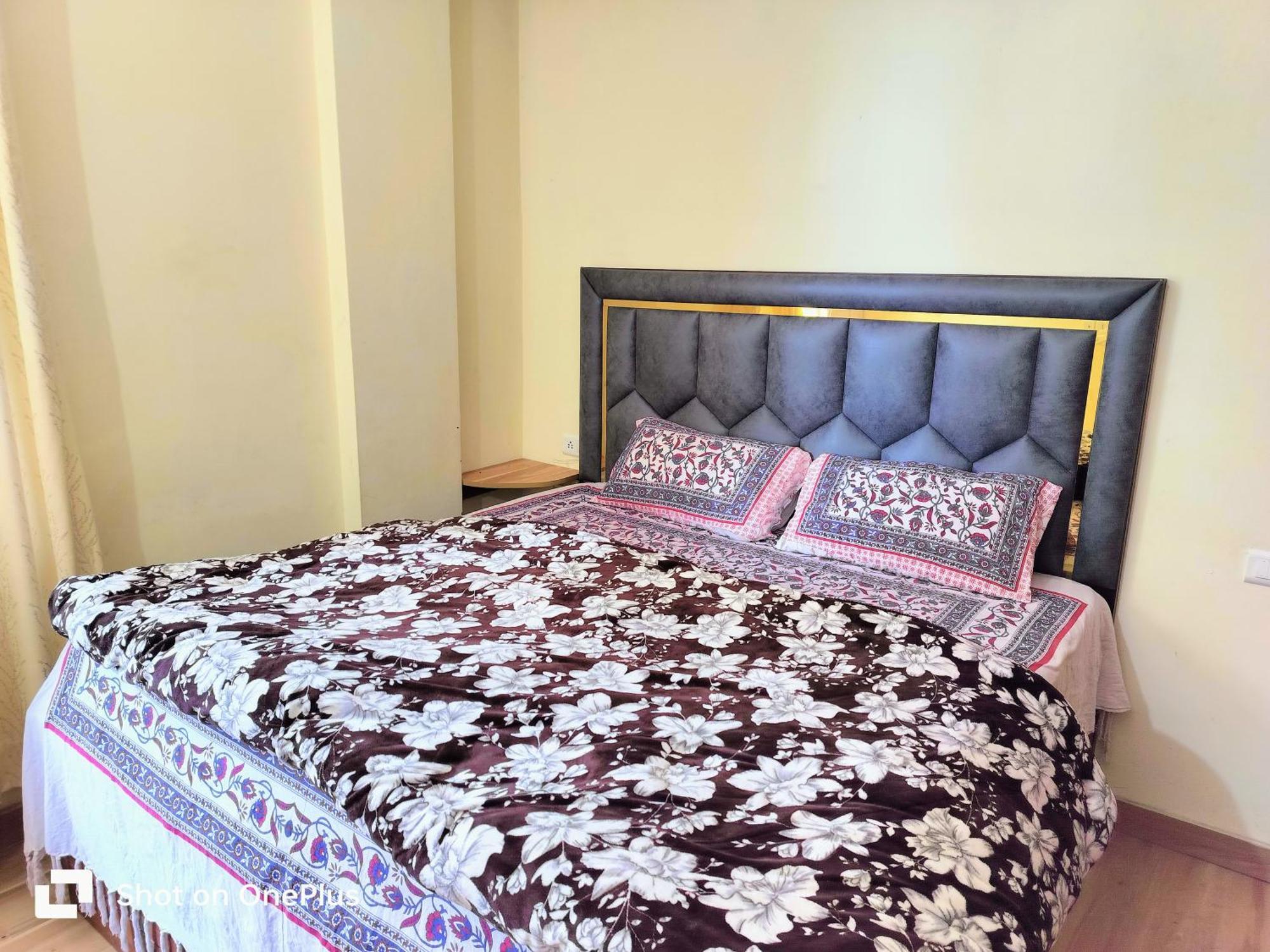 Shimla Vibes B & B Free Pick And Drop From Isbt Shimla Exterior foto